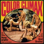 Color Climax Film 1454  Anal Brothel