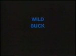 Wild Buck (1993)