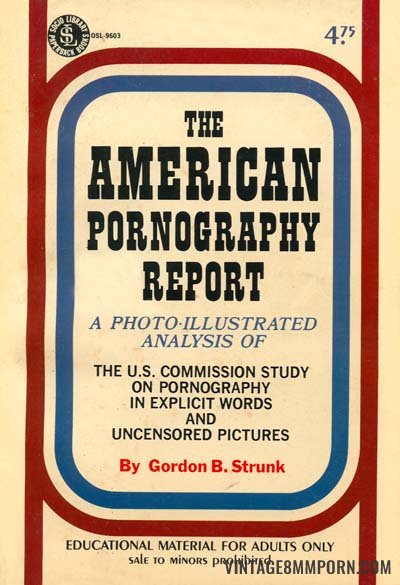 The American Pornography Report