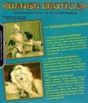 Danish Erotica 11 - Penetrating Interview