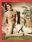 Swedish Erotica film review 21