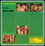 Color Climax Film 1316  Busty Birds