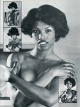 Big, Black & Busty 5 (1987)