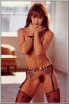 Book Of Lingerie No 1-2 (1996)