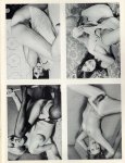 309 Photos Of The Female Body Volume 4 No 4 (1973)