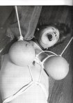 Big Tits In Bondage 1 preview