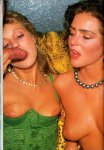 Chick Nederland 207 (1988) preview