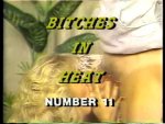 Bitches In Heat Volume 11 preview