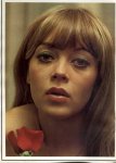 Selecta 3 (1974) preview