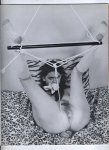 Asses in Bondage Volume 1 Number 3 preview