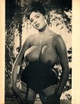HQ Special Featuring Russell Gay's London Models (1964) preview