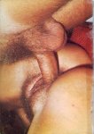 Pocket Porno 4 preview