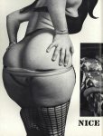 Tempty - A Venice magazine Issue 3 (1969) preview