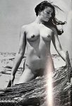Arcadia 12 (1967) preview