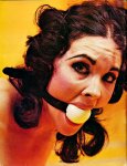 Hogtie Volume 3 Number 6 (1977) preview