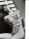 Hogtied Volume 5 Number 12 (1993) preview