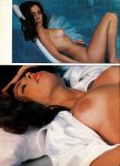 International Cover Models 17 (1979) preview
