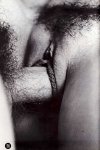 Week-end Sex 13 12 (1979) preview
