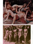 Beauty Bazaar Volume 3 Number 2 (1971) preview