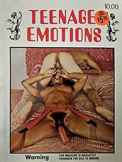 Teenage Emotions (1970s)