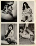 316 Photos Of The Female Body Beautiful Volume 1 Number 3 (1970) preview