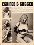 Bound To Please Volume 2 Number 12 (1976) preview