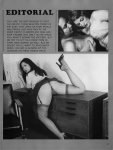 Oriental Beauties Volume 4 Number 5 (1980) preview