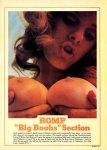 Romp UK 5 (1979) preview