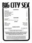 Big City Sex Volume 1 Number 3 (1976) preview