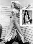 Erotic Camera Artistry Volume 1 Number 1 (1972) preview