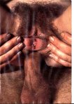 Honey 15-8 (1990) preview
