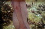 cine-EROTIC 2000 Nr.5 preview