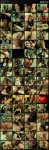 Rodox Video 366 preview