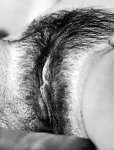 Sex And The Censor Volume 1 Number 1 (1960s) preview
