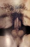 SEXUS-2 (1970s) (Denmark) preview