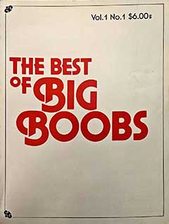The Best of Big Boobs V1 N1