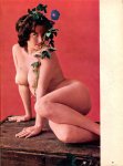 Bachelor Vol No 4 - June (1963) preview 3