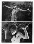 Bondage Photo Treasures Number 23 (1988) preview