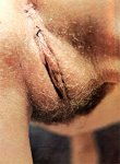 Flesh No 1 (1971) preview 4