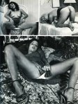 Hot Wet Pussys Volume 4 Number 2 (1986) preview 2