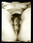 Flirt No.4 (1972) preview 3