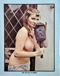 Top Heavy 7 (1973) preview 4