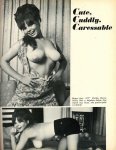 TOPPER - June (1968) preview 4