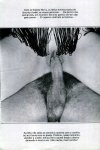 Trio-Sex Vol.1 (BR) preview 4