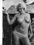 Champagne Volume 3 Number 1 (1965) preview 4