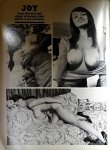 Hanging Breasts Volume 1 Number 1 preview 1