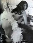 Honey Love Number 1 preview 2